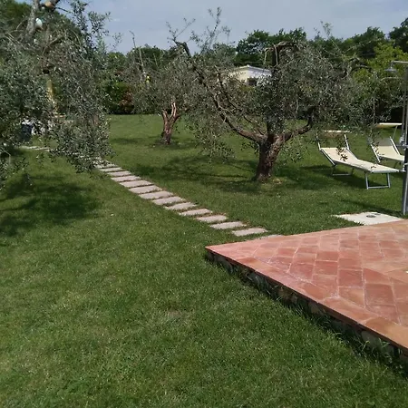 Il Poggio
