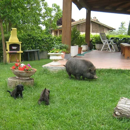 Il Poggio Penzion
